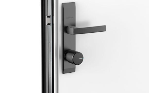 z6.jpg